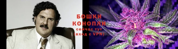 ГАЛЛЮЦИНОГЕННЫЕ ГРИБЫ Зерноград
