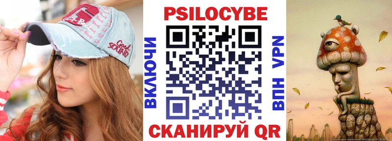 Псилоцибиновые грибы MAGIC MUSHROOMS  магазин продажи наркотиков  мега ТОР  Судогда 