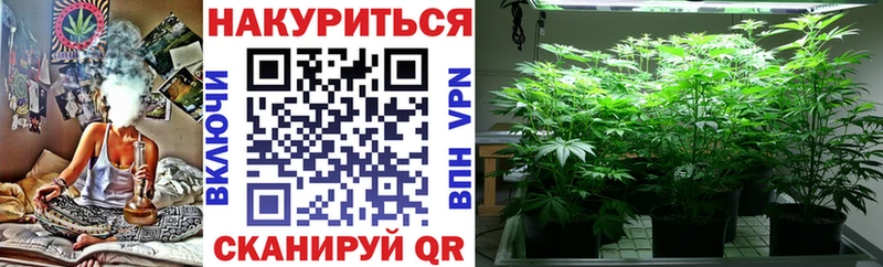 Каннабис ГИДРОПОН  Судогда 